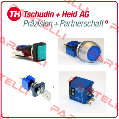 Tschudin Heid