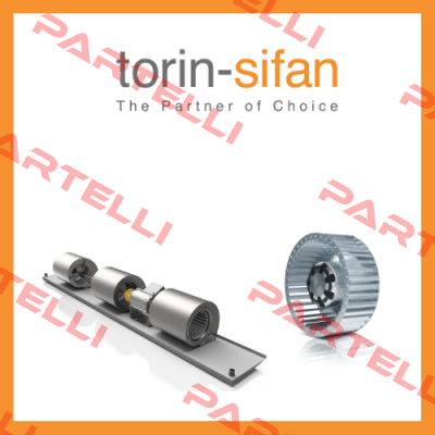 Torin-Sifan