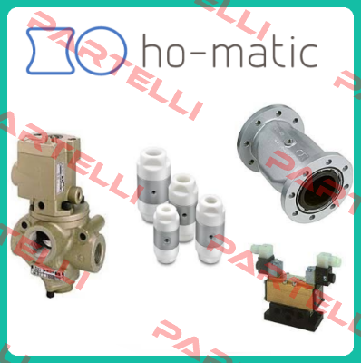 300.50 001.100 - OBSOLETE, REPLACEMENT 80050.001.100  Ho-Matic AG