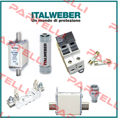 0107160  Italweber