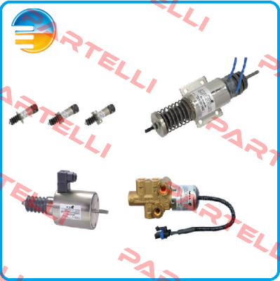 372778 C.E.I SRL