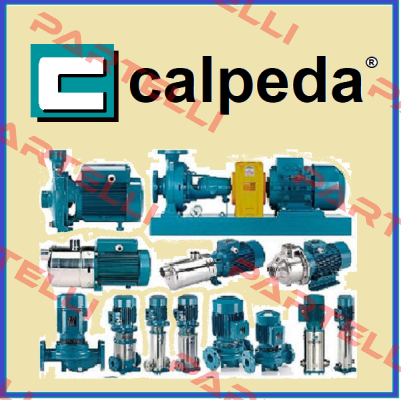 С 41 Е  Calpeda