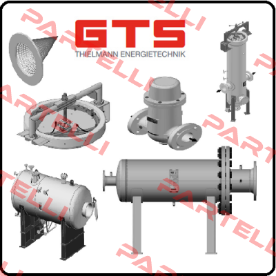 55-10016-1110  GTS-Thielmann Energietechnik