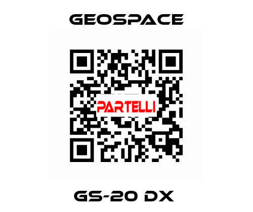 GS-20 DX  GeoSpace