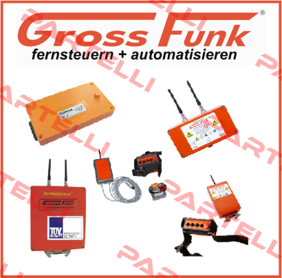 100-000-134 WECHSELAKKU 12V/1300MAH NIMH  Gross Funk