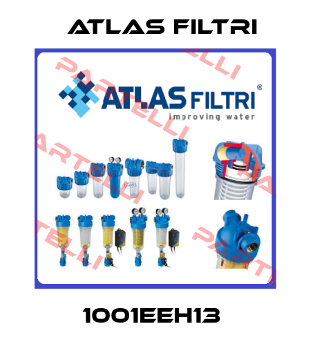 1001EEH13  Atlas Filtri