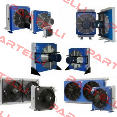 MG 2020KVB 2W2004502  Emmegi