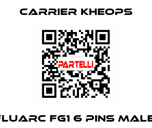  Fluarc FG1 6 Pins Male  Carrier Kheops