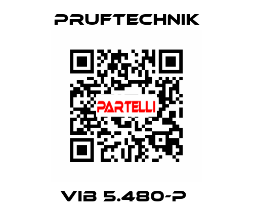 VIB 5.480-P  Pruftechnik