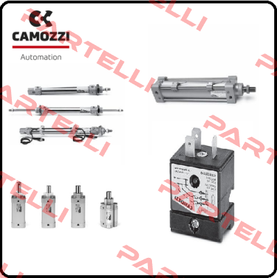 10-1355-0253  24N2B20A025 MINI-ZYL.MAG,DW,20 Camozzi