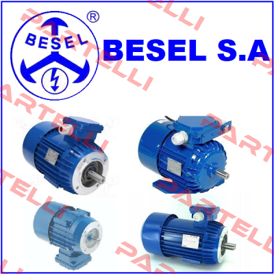 Motor 2SIEK 80 X-4C  BESEL S.A.