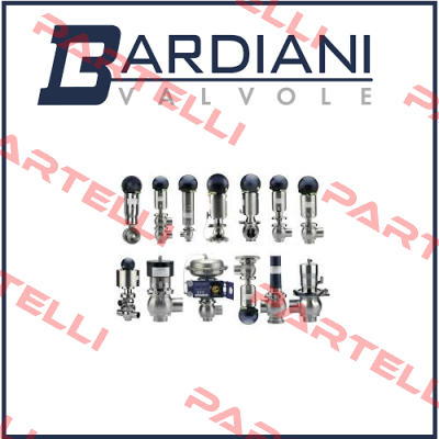 BBZK -L TYPE DN80 Bardiani Valvole