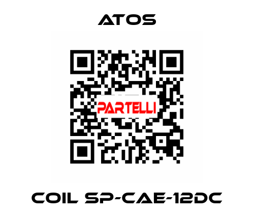 Coil SP-CAE-12DC Atos