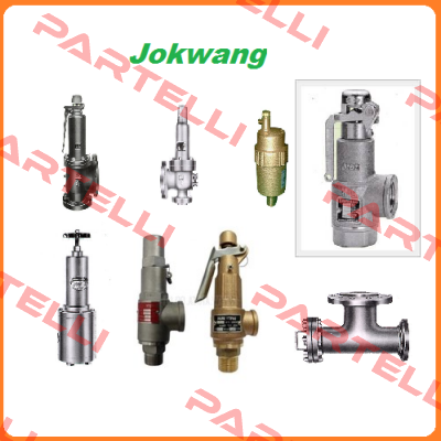 FF100-C-1"E2"-A21-212-CN2  Jokwang