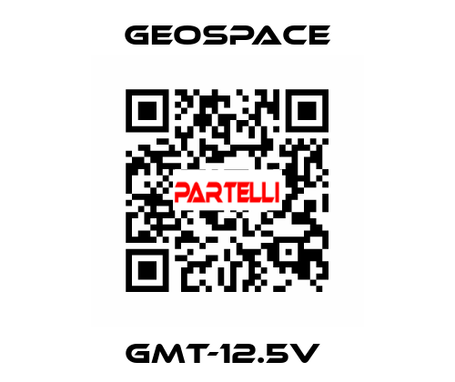 GMT-12.5V  GeoSpace