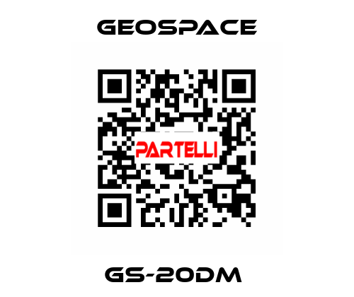 GS-20DM  GeoSpace