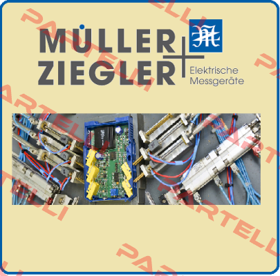 101128 Ziegler