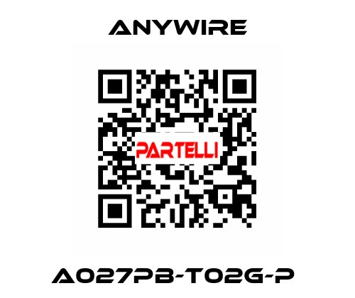 A027PB-T02G-P  Anywire