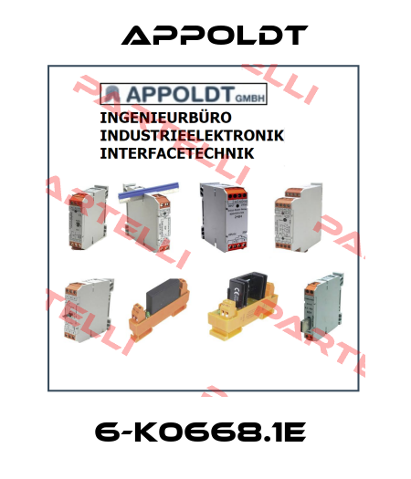 6-K0668.1E  Appoldt