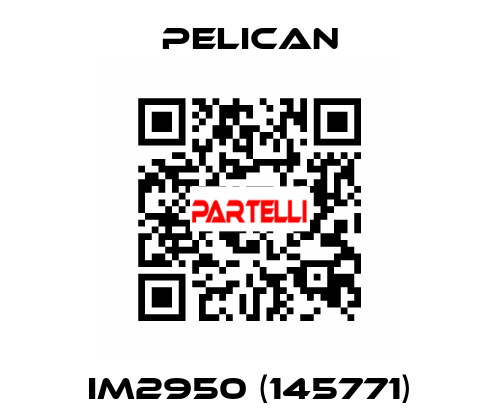 iM2950 (145771) Pelican