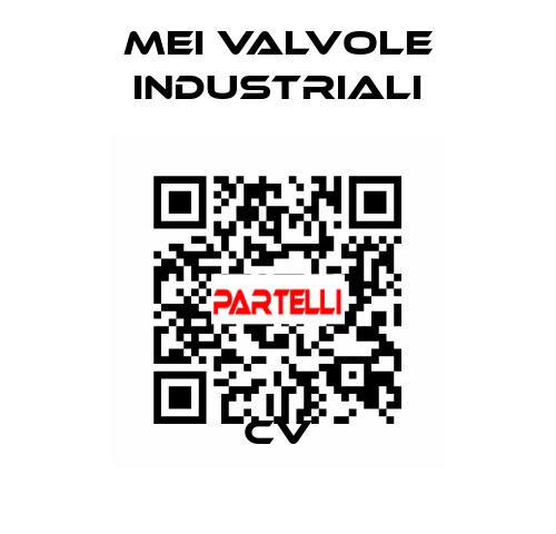 CV MEI VALVOLE INDUSTRIALI