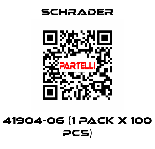41904-06 (1 pack x 100 pcs) Schrader