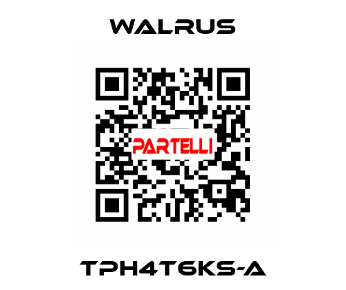 TPH4T6KS-A Walrus