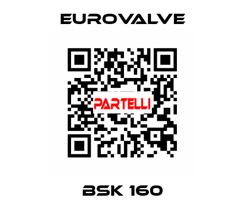 BSK 160 Eurovalve