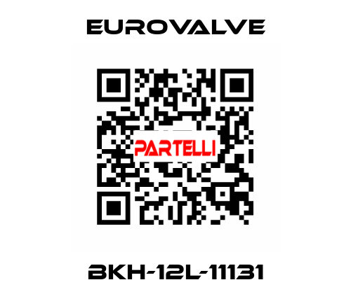 BKH-12L-11131 Eurovalve