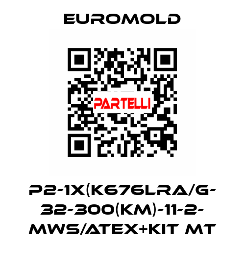 P2-1x(K676LRA/G- 32-300(KM)-11-2- MWS/ATEX+KIT MT EUROMOLD
