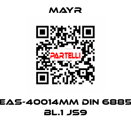 EAS-40014MM DIN 6885 BL.1 JS9 Mayr