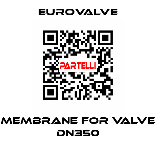 membrane for valve DN350 Eurovalve