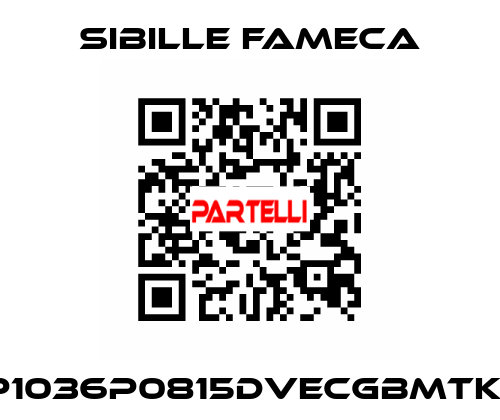 VDP1036P0815DVECGBMTKRI1T Sibille Fameca