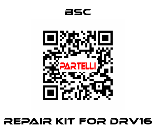 repair kit for DRV16 BSC