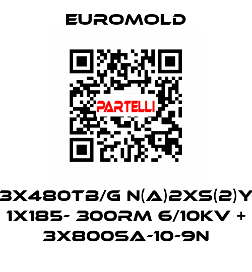 3x480TB/G N(A)2XS(2)Y 1X185- 300RM 6/10KV + 3x800SA-10-9N EUROMOLD