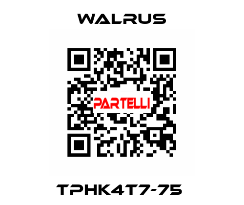 TPHK4T7-75  Walrus