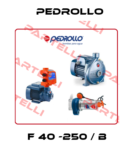 F 40 -250 / B Pedrollo