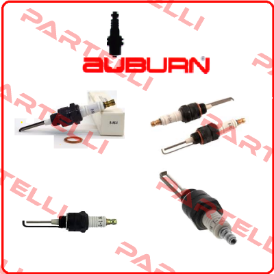 CS 12982 Auburn