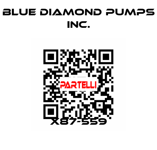 X87-559 Blue Diamond Pumps Inc.