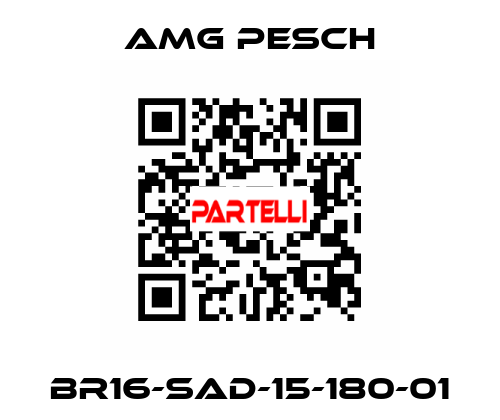 BR16-SAD-15-180-01 AMG Pesch