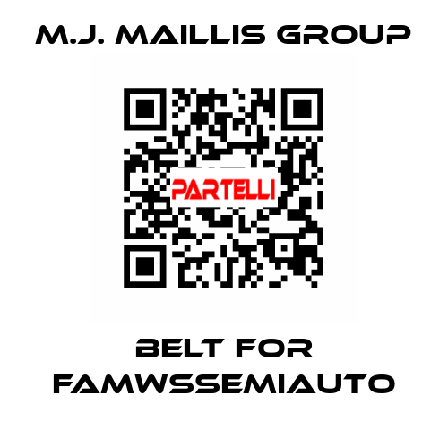 belt for FAMWSSEMIAUTO M.J. MAILLIS GROUP
