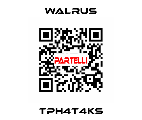 TPH4T4KS Walrus