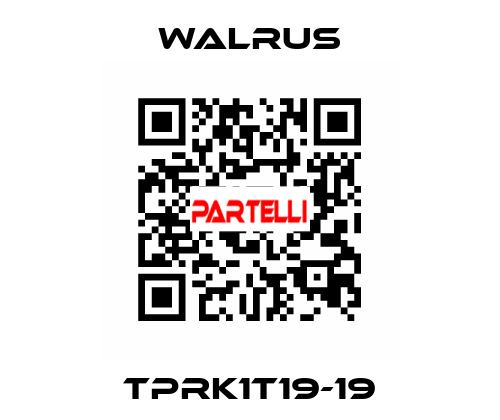 TPRK1T19-19 Walrus