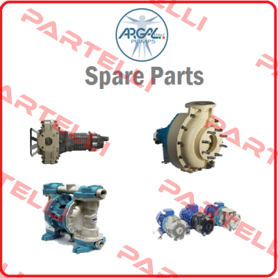 TMP 06.08 WR R1 Argal Pumps