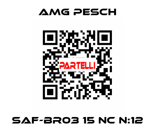 SAF-BR03 15 NC n:12 AMG Pesch
