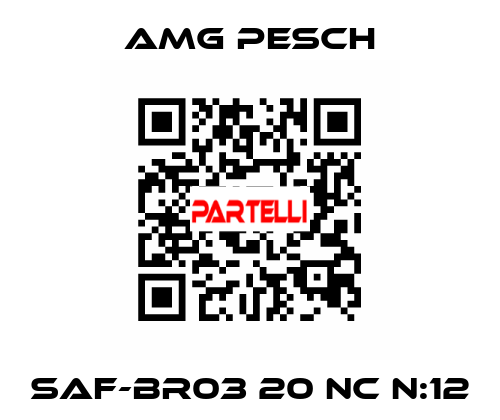 SAF-BR03 20 NC n:12 AMG Pesch