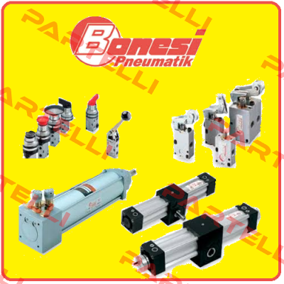 EI131B1L/E Bonesi Pneumatic