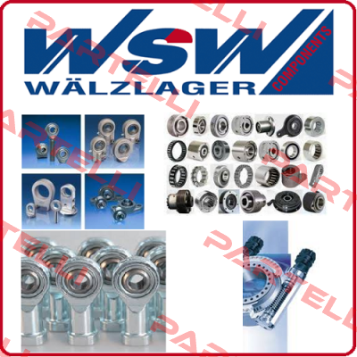 SD100 WSW Waelzlager