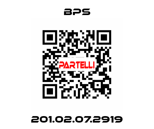 201.02.07.2919 BPS