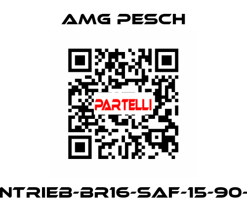 AMG-Antrieb-BR16-SAF-15-90-01-n=12 AMG Pesch